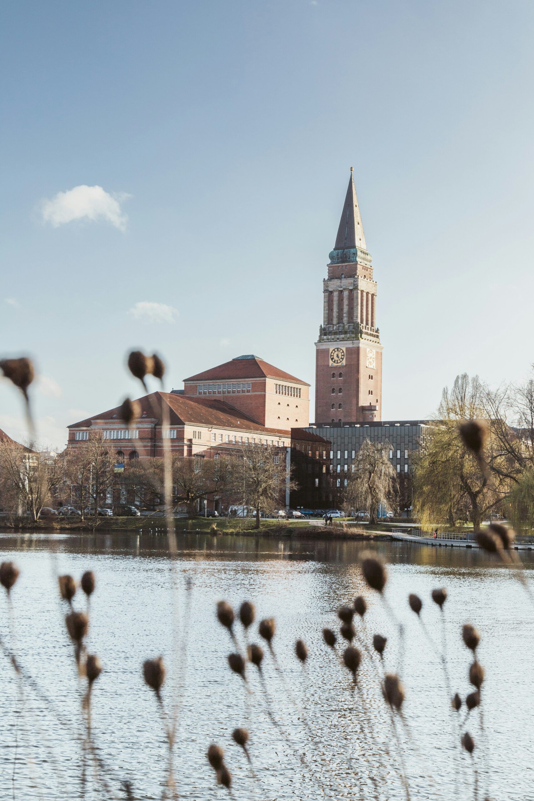 Embedded Systems Schleswig-Holstein, Dienstleister in Hamburg und Kiel 
